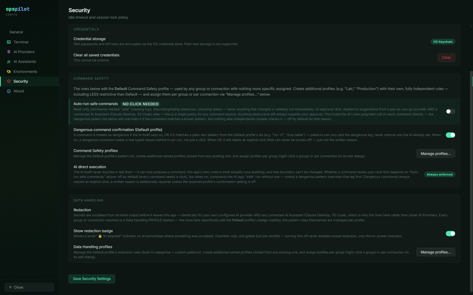 The Command Safety settings group, showing auto-run off by default, dangerous command confirmation on, and AI direct execution listed as always enforced
